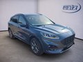 Daumennagel 2 - Ford Kuga Plug-In Hybrid ST-Line 2.5 PHEV AHK,Winterpaket, Navi uvm 225PS Systemleitung
