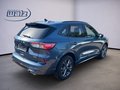 Daumennagel 3 - Ford Kuga Plug-In Hybrid ST-Line 2.5 PHEV AHK,Winterpaket, Navi uvm 225PS Systemleitung