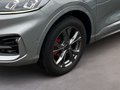 Daumennagel 6 - Ford Kuga Plug-In Hybrid ST-Line X 225PS Systemleistung, LED,AHK,uvm