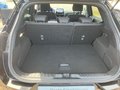 Daumennagel 12 - Ford Puma ST-Line 1.0i 155PS Winterpaket,AHK
