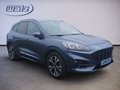 Daumennagel 2 - Ford Kuga Plug-In Hybrid ST-Line X +ACC+LED+TWA+AHK+WINTERPAKET+HEADUP+
