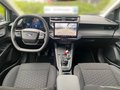 Daumennagel 10 - Ford Puma Titanium Winterpaket+GJR