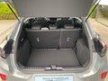 Daumennagel 12 - Ford Puma Titanium Winterpaket+GJR