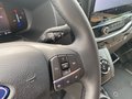 Daumennagel 19 - Ford Transit 350 L3