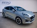 Daumennagel 2 - Ford Puma ST-Line X