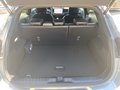 Daumennagel 11 - Ford Puma ST-Line X