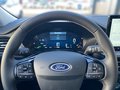 Daumennagel 8 - Ford Kuga FHEV Active X +Ergonomiesitze+Matrix-LED+Winterpaket