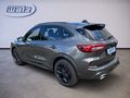 Daumennagel 4 - Ford Kuga FHEV BlueCruise Edition +Winterpaket+Matrix-LED