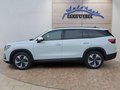 Daumennagel 2 - Skoda Kodiaq 1,5TSI DSG aAHK/7-Sitzer/Navi/ACC/el.Klappe **