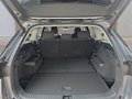 Daumennagel 17 - Skoda Kodiaq 1,5TSI DSG aAHK/7-Sitzer/Navi/ACC/el.Klappe  **