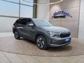 Daumennagel 7 - Skoda Kodiaq 1,5TSI DSG aAHK/7-Sitzer/Navi/ACC/el.Klappe  **