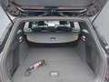Daumennagel 19 - Ford Focus ST-Line X 1.0 155PS Aut. UPE=41700€     **