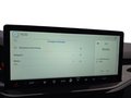 Daumennagel 43 - Ford Focus ST-Line X 1.0 155PS Aut. UPE=41700€     **