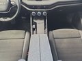 Daumennagel 13 - Skoda Superb Combi 2,0TDI DSG Navi/DCC/ACC/Kamera/Sitzhz. **