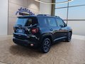 Daumennagel 5 - Jeep Renegade 1.0 T-GDI 16*Alu/Navi/Keyless/Winterp.