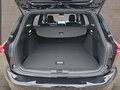 Daumennagel 19 - Ford Focus ST-Line X 1.0 155PS Aut. UPE=41700€     **