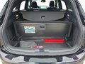 Daumennagel 31 - Ford Focus ST-Line X 1.0 155PS Aut. UPE=41700€     **