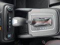 Daumennagel 33 - Ford Focus ST-Line X 1.0 155PS Aut. UPE=41700€     **