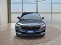 Daumennagel 8 - Skoda Karoq Sportline 1,5TSI DSG aAHK/ACC/Matrix/Navi/Kessy **