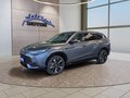 Daumennagel 1 - MG HS Hybrid+ Luxury 19*Alu/Leder/Navi/ACC/el.Klappe **