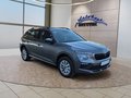 Daumennagel 13 - Skoda Kamiq Selection 1,5TSI DSG AHK/Kamera/LED/Kessy/Winterp.