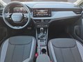 Daumennagel 18 - Skoda Kamiq Selection 1,5TSI DSG AHK/Kamera/LED/Kessy/Winterp.