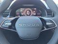 Daumennagel 37 - Skoda Kamiq Selection 1,5TSI DSG AHK/Kamera/LED/Kessy/Winterp.