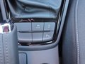 Daumennagel 43 - Skoda Kamiq Selection 1,5TSI DSG AHK/Kamera/LED/Kessy/Winterp.