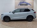 Daumennagel 2 - CUPRA Terramar 1.5 eTSI DSG ACC/Kessy/el.Klappe/Winterp. **