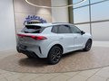 Daumennagel 5 - CUPRA Terramar 1.5 eTSI DSG ACC/Kessy/el.Klappe/Winterp. **