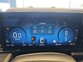Daumennagel 20 - Ford Puma ST-Line 1,0 155PS Aut. **