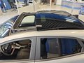 Daumennagel 9 - Ford Puma ST-Line 1,0 155PS Aut. **
