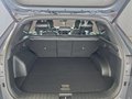 Daumennagel 17 - Hyundai TUCSON 1,6T HEV 4WD N Line UPE=52500 Euro!        **