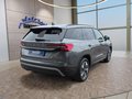 Daumennagel 5 - Skoda Kodiaq 1,5TSI DSG aAHK/7-Sitzer/Navi/ACC/el.Klappe  **