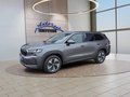 Daumennagel 1 - Skoda Kodiaq 1,5TSI DSG aAHK/7-Sitzer/Navi/ACC/el.Klappe  **