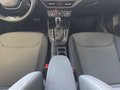 Daumennagel 12 - Skoda Fabia 1,0TSI DSG 5*J.Gar/LED/Winterp/Temp.   **
