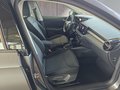 Daumennagel 16 - Skoda Fabia 1,0TSI DSG 5*J.Gar/LED/Winterp/Temp.   **