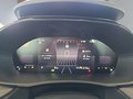 Daumennagel 18 - Skoda Fabia 1,0TSI DSG 5*J.Gar/LED/Winterp/Temp.   **