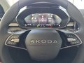 Daumennagel 19 - Skoda Fabia 1,0TSI DSG 5*J.Gar/LED/Winterp/Temp.   **