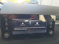 Daumennagel 29 - Skoda Fabia 1,0TSI DSG 5*J.Gar/LED/Winterp/Temp.   **