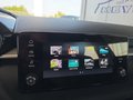 Daumennagel 35 - Skoda Fabia 1,0TSI DSG 5*J.Gar/LED/Winterp/Temp.   **