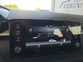 Daumennagel 36 - Skoda Fabia 1,0TSI DSG 5*J.Gar/LED/Winterp/Temp.   **