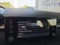 Daumennagel 44 - Skoda Fabia 1,0TSI DSG 5*J.Gar/LED/Winterp/Temp.   **