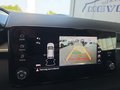 Daumennagel 45 - Skoda Fabia 1,0TSI DSG 5*J.Gar/LED/Winterp/Temp.   **