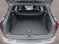 Daumennagel 19 - Ford Focus ST-Line X 1.0 155PS Aut. UPE=41700€     **