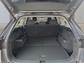 Daumennagel 17 - Skoda Kodiaq 1,5TSI DSG aAHK/7-Sitzer/Navi/ACC/el.Klappe  **