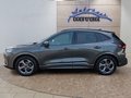 Daumennagel 2 - Ford Kuga ST-Line X 2,5 FHEV ACC/LED/Navi/Leder/el.Klappe  **