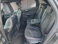 Daumennagel 14 - Ford Kuga ST-Line X 2,5 FHEV ACC/LED/Navi/Leder/el.Klappe  **