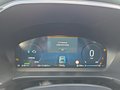 Daumennagel 20 - Ford Kuga ST-Line X 2,5 FHEV ACC/LED/Navi/Leder/el.Klappe  **