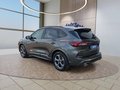 Daumennagel 3 - Ford Kuga ST-Line X 2,5 FHEV ACC/LED/Navi/Leder/el.Klappe  **